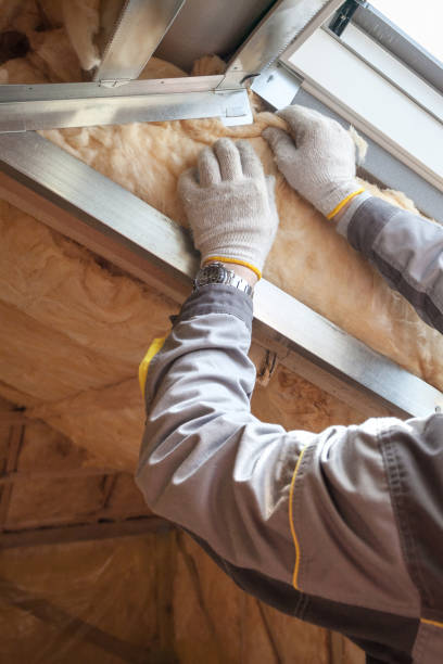 Best Energy-efficient Insulation  in Landrum, SC