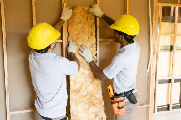 Best Spray Foam Insulation  in Landrum, SC