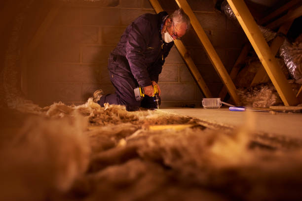 Best Garage Insulation Installation  in Landrum, SC